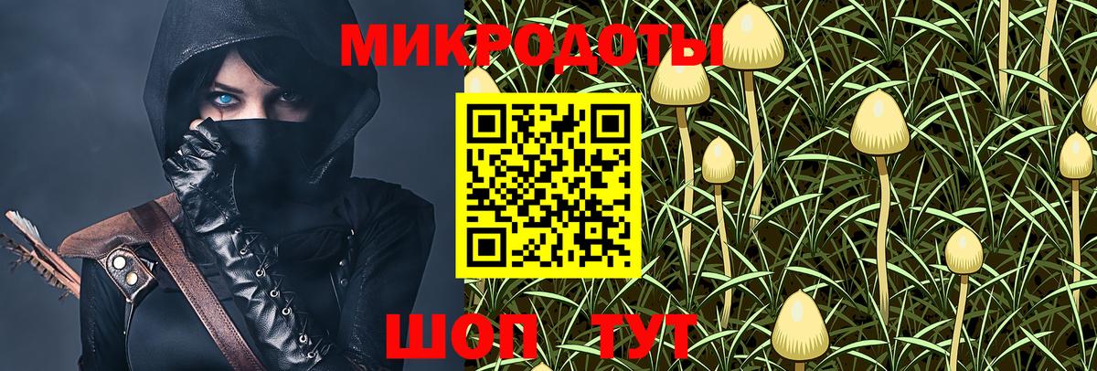 Галлюциногенные грибы GOLDEN TEACHER  Вход с VPN  закладки  Губкин 